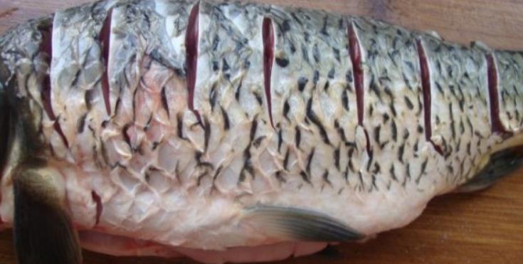 正宗重庆烤活鱼配方,烤活鱼最正宗的做法