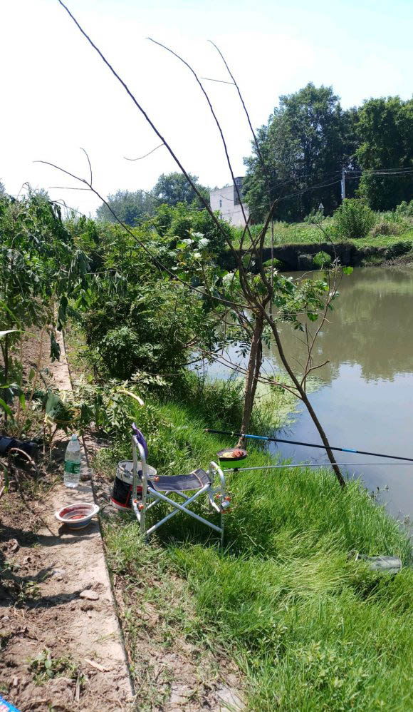 夏天打窝鱼不开口怎么办,窝里鱼有泡但不开口怎么办