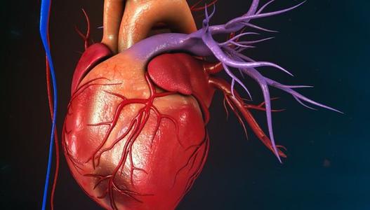 心电图显示心肌缺血请问是心衰吗,心电图显示心肌缺血严重