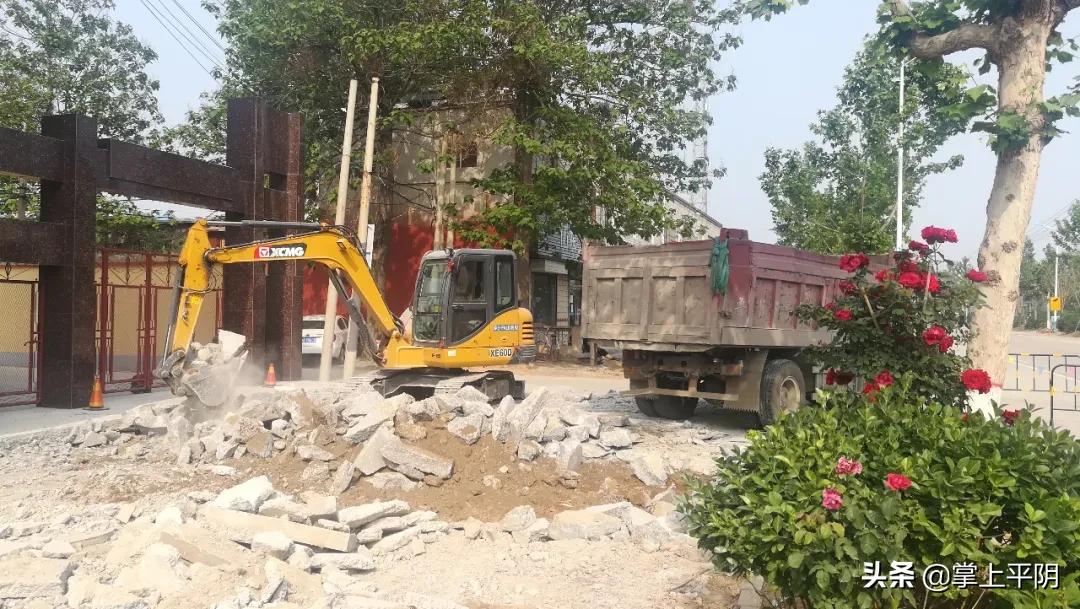 平阴新闻|乡村治理领域扫黑除恶专项行动再推进；昨日玫瑰花冠收购价格为4.00元/斤