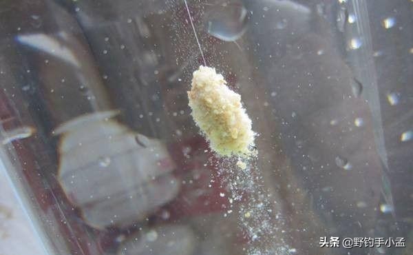 野钓鲤鱼的方法和技巧图解,野钓鲤鱼最佳时间和方法