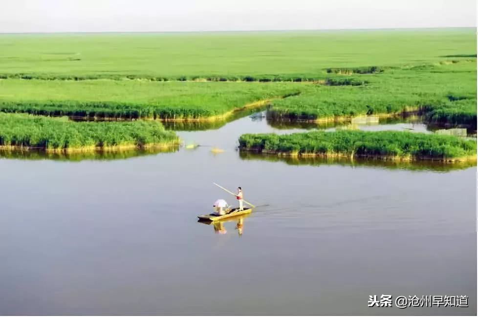 沧州旅游攻略必玩的景点冬天,沧州游玩攻略必去景点