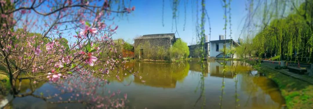 杭州美职学校风景,杭州美丽学校评选