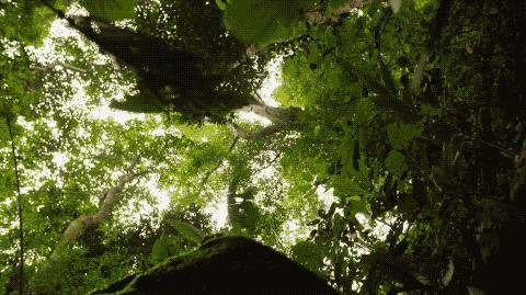 他的工作是厨师的英文,他的工作是什么英文句子