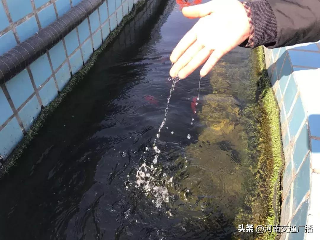 郑州南三环垃圾味刺鼻,郑州南三环臭味哪里来的