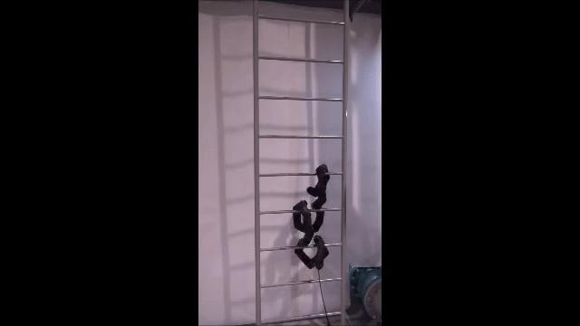 紧急救援一条蛇,机器救援蛇