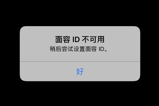 无法在此iphone激活面容id怎么办,无法在苹果上激活面容id什么意思