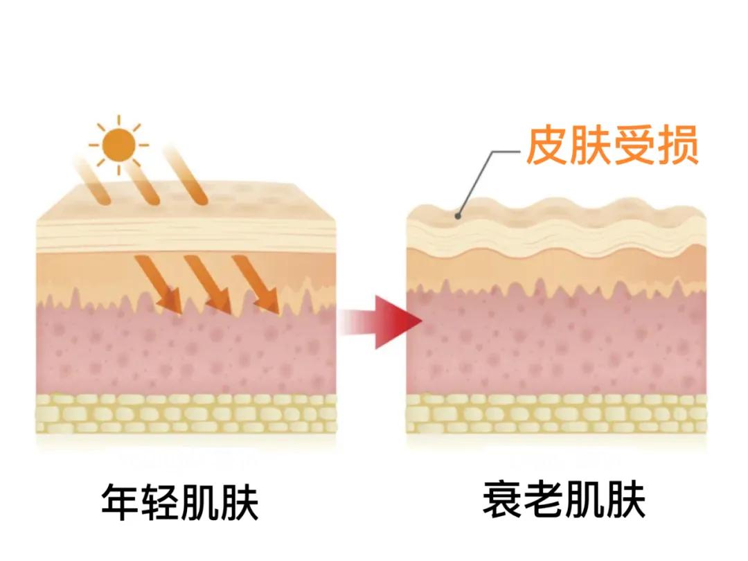 肌肤闪耀光彩,美容品美时美刻