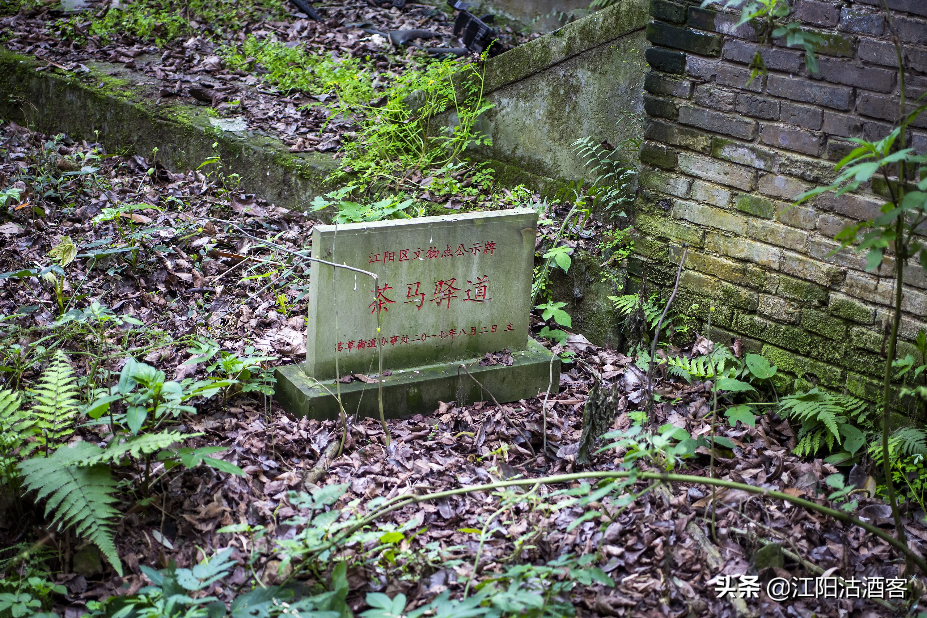 泸州沙湾，一条通往茶马古道的长江水上码头，如今落寞无人问