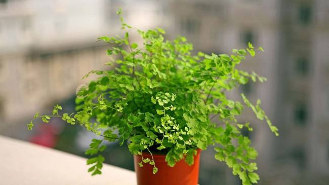 甲醛接触多久会得白血病,甲醛闻多久会得白血病