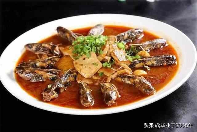 大连旅顺野钓淡水鱼的地方,大连近海常见鱼类图鉴