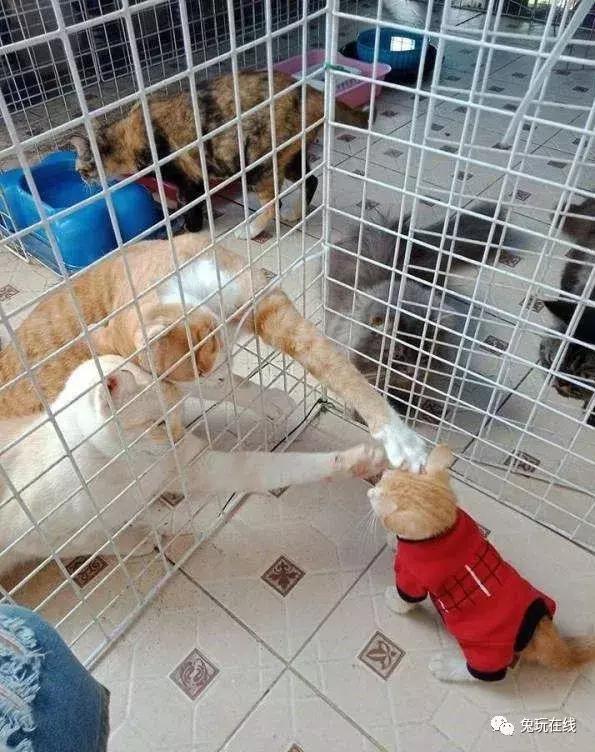 如果你的生命只剩5秒你会做什么,如果只剩下5秒时间你会做什么