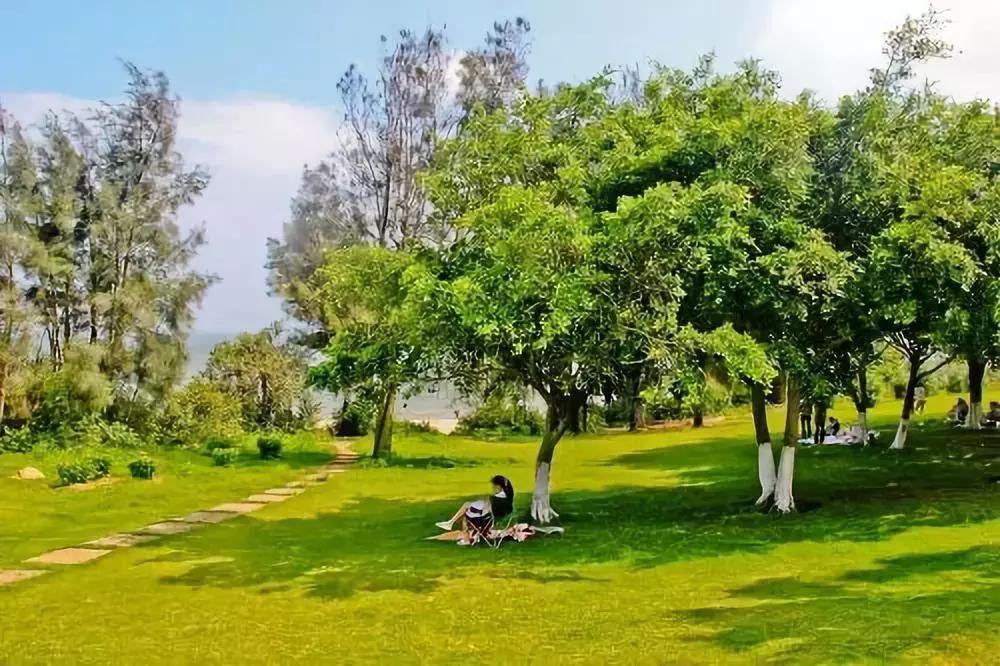 福建漳州厦门的发展,漳州与厦门经济差距