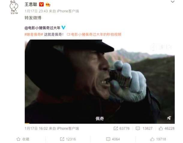 小猪佩奇在现实之中是什么样子的,为什么说小猪佩奇像吹风机