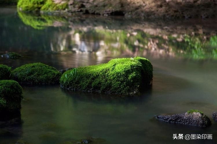 清明节拍摄风景图片,清明节全家踏青照片如何拍摄