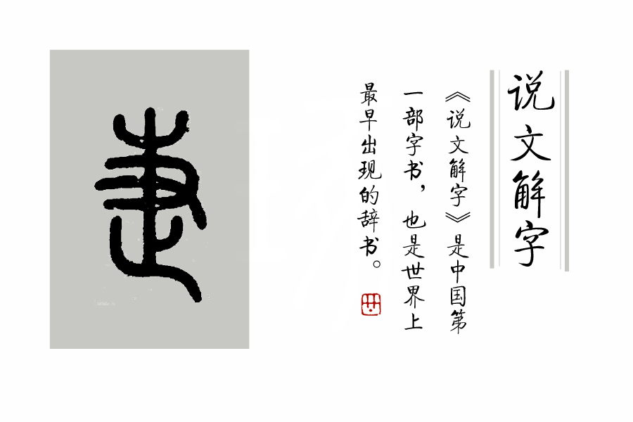 说文解字第208教学视频,说文解字第1124课