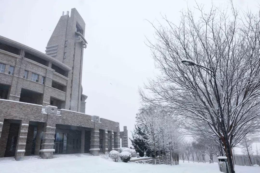 辽宁省民办大学（二）大连东软信息学院