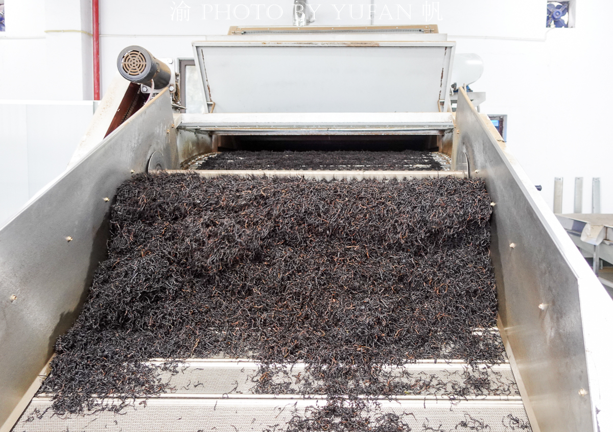 金佛山环山自驾,五一去金佛山最佳路线