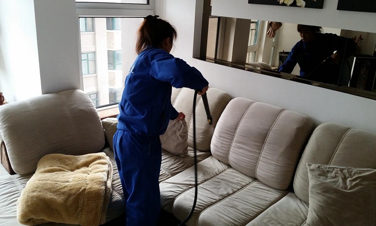 泰迪有寄生虫的表现,泰迪警惕