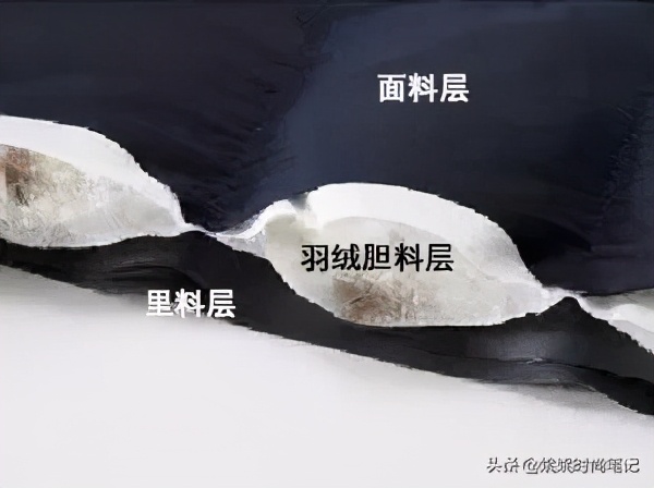 鹅绒的专业知识,羽绒知识的专业讲解