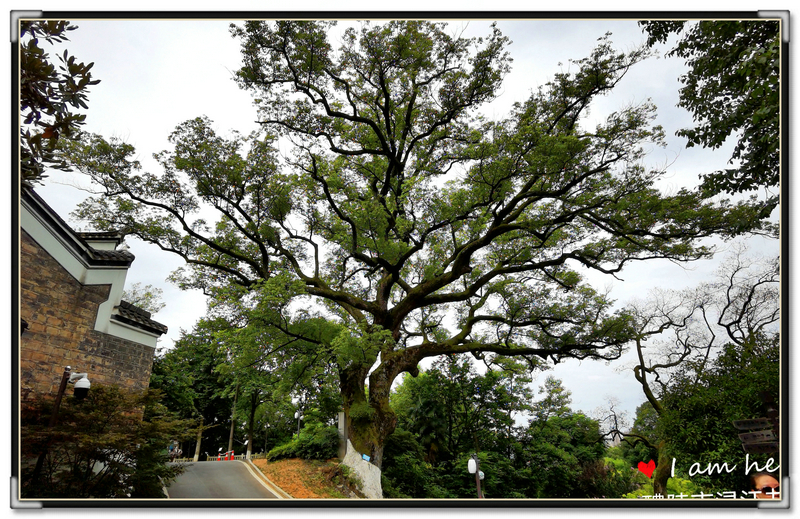 这里美酒飘香！这里人文荟萃！这里五彩璀璨