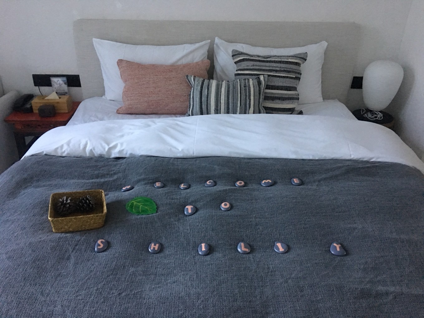 云南六日五晚免费游,云南五天四晚一人游