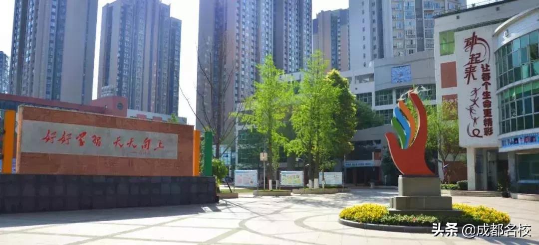 电子科大附小在成都小学排名,成都电子科大附属小学沙河校区