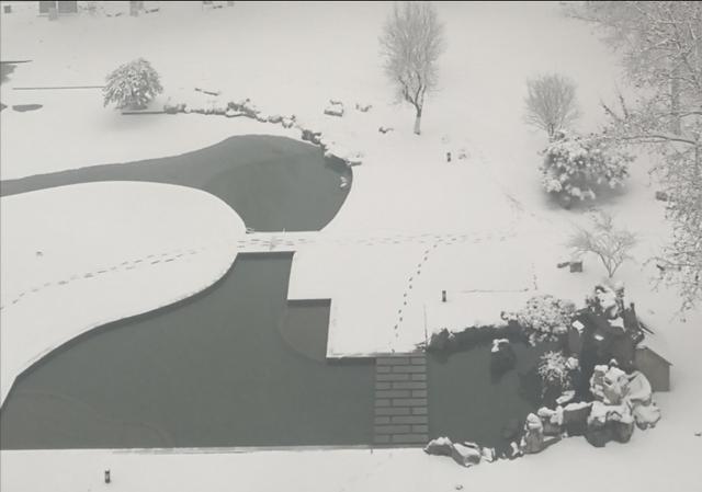 冬之韵23,冬之韵