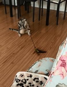 吃火锅搞笑瞬间,吃火锅搞笑图蘑菇头