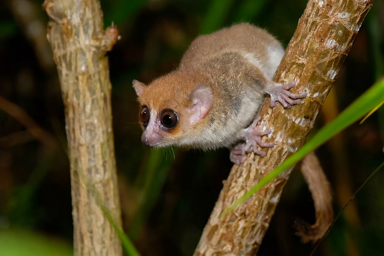 哪里的森林破坏最严重,8个破坏森林资源问题严重地区