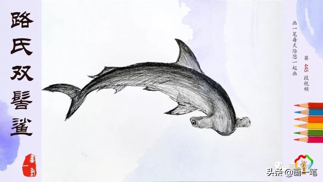 海葵和小丑鱼绘画,小丑鱼和海葵共生的小练笔