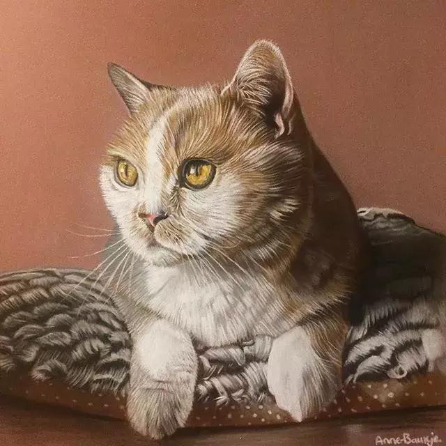 彩铅不会涂色怎么办,彩铅绘画干货