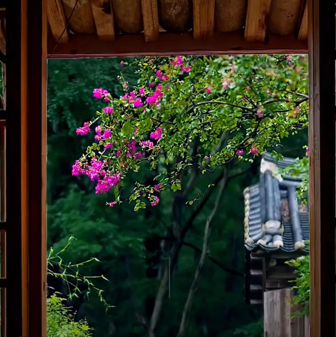 初学者怎么选择自己创作方向,新手如何选择创作方向