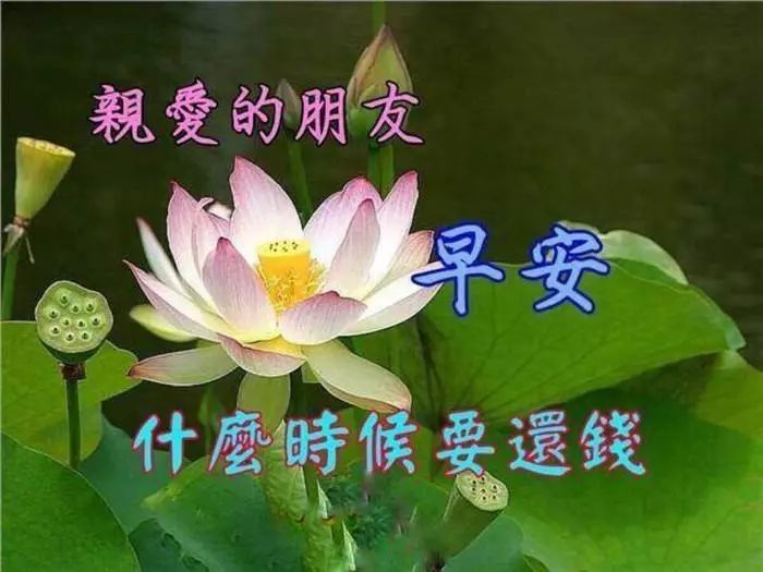 要欠债还钱的表情包,有了钱搞笑表情包