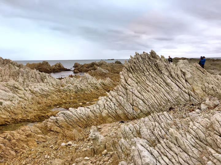 超好用的新西兰自驾攻略（二）——凯库拉