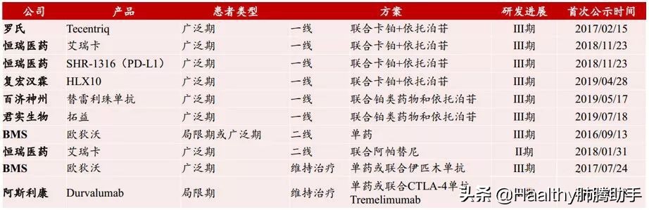 t药国内获批适应症,在哪里购买小细胞肺癌特效进口药