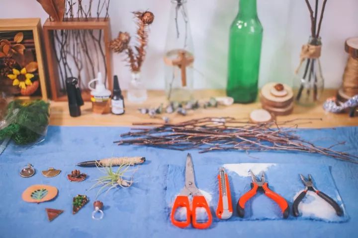 她31岁放弃北漂，回归自然，用枯枝败叶，打造了一个梦幻森林