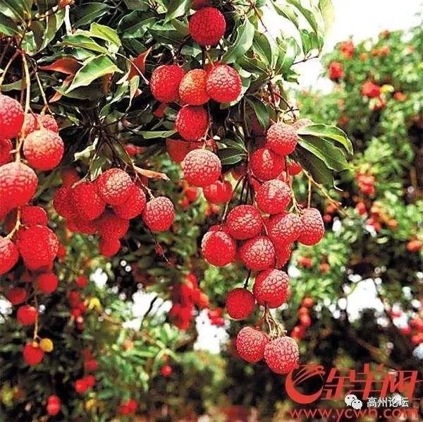 苏轼眼中的惠州,苏东坡生活过的江南惠州