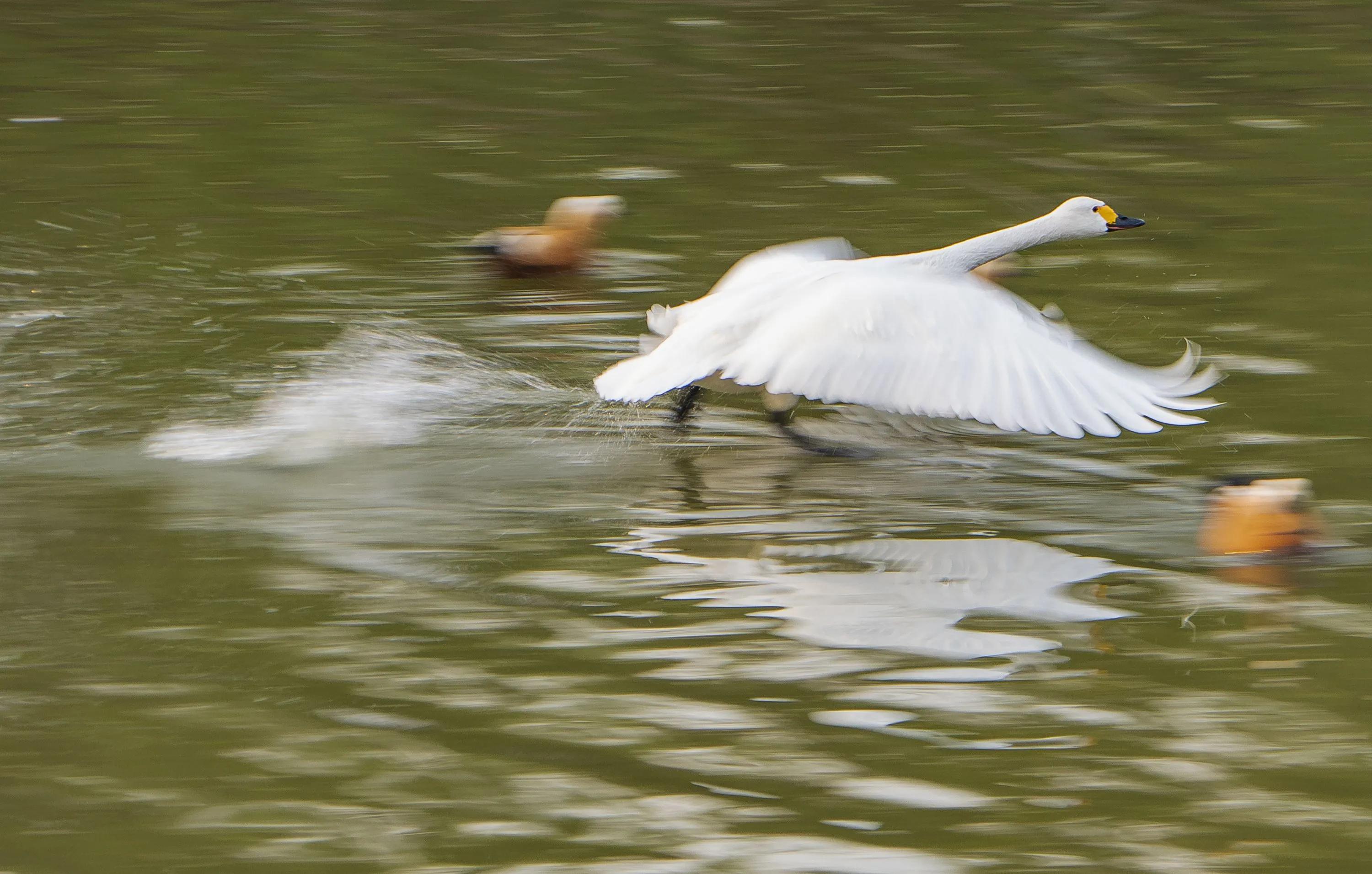 打牌财神坐向的正确方法,怎样正确的心态来打牌