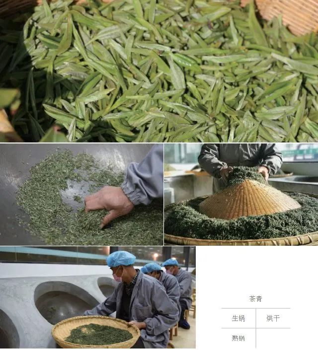 炎炎夏日喝点什么茶好,夏日暑湿喝什么茶最好养生