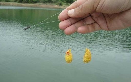 窝里有鱼不开口怎么办,窝里有鱼不咬钩图解