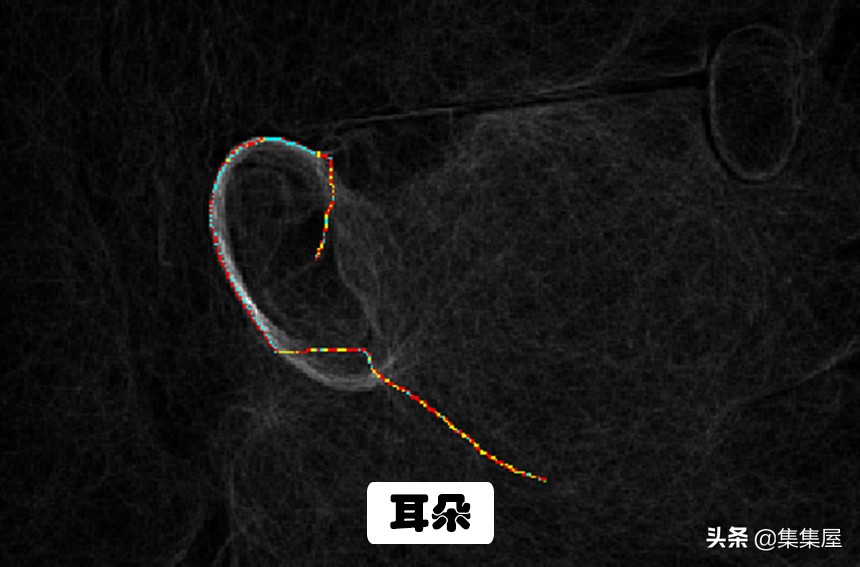 世界上最奇特的指纹,除了指纹还有什么是独一无二的