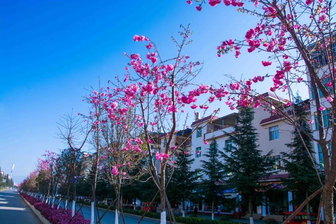 说秋道冬话永胜，气候多样人宜居