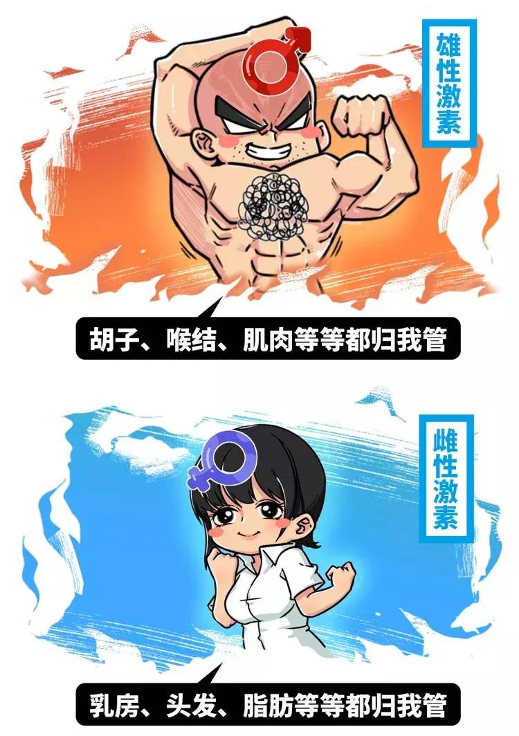 给男性服用雌性激素好处,给男人吃雌激素会查出来吗