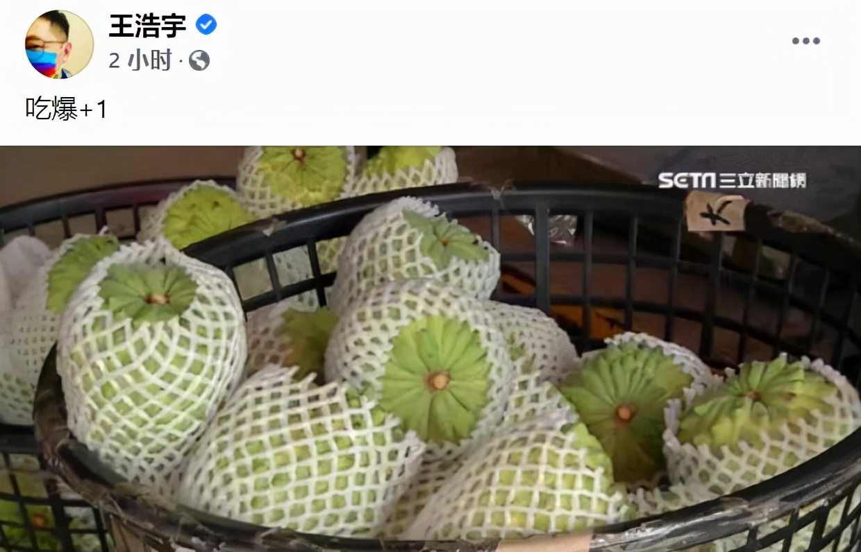 桔臀纹粉蚧,桧柏臀纹粉蚧