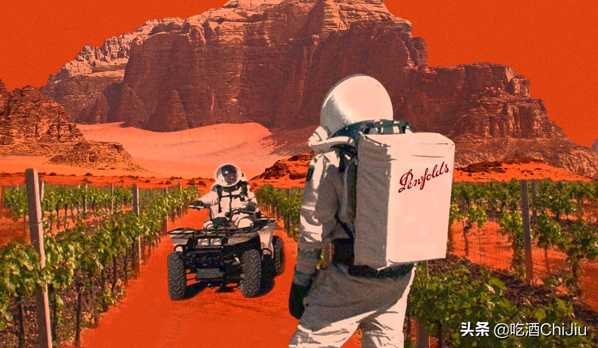 奔富bin8真假鉴别,奔富奔8酒一瓶多少钱