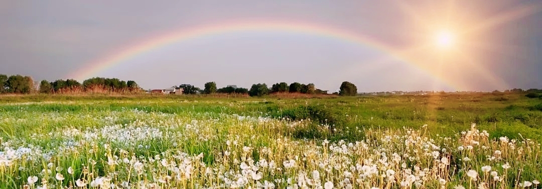 你明白我的意思吗口头禅,你知道我的意思吗三种英文表达