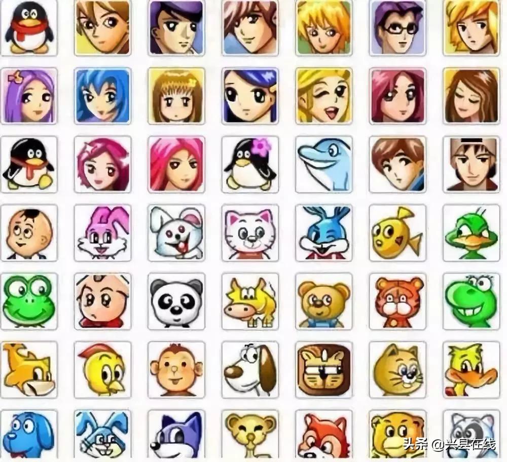 兴县身份证开头,兴县身份证是哪里的