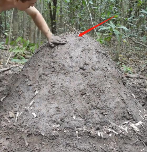 烧制木炭新技术,原始技术如何制作木炭