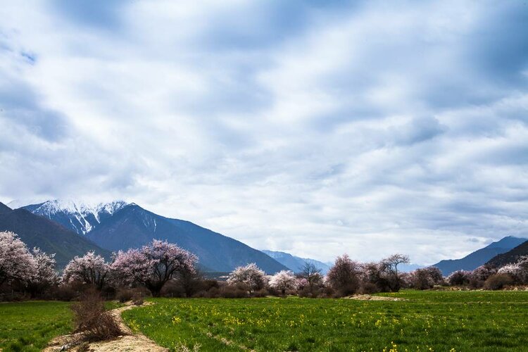 海子面朝大海春暖花开写作时间,海子面朝大海春暖花开原文图片